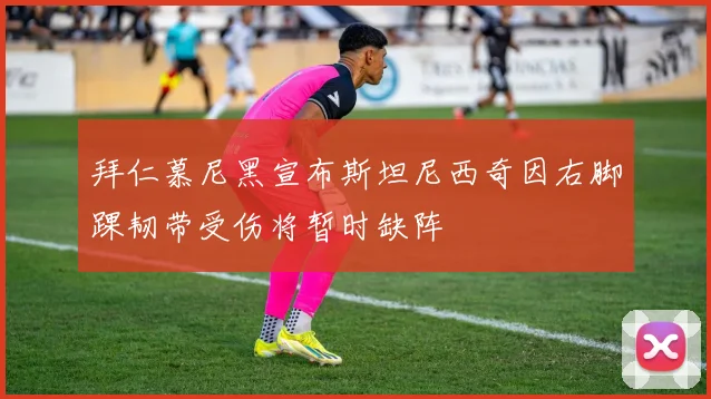 拜仁慕尼黑宣布斯坦尼西奇因右脚踝韧带受伤将暂时缺阵